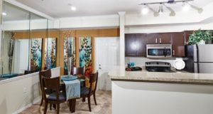 Cedar Springs Apartment Homes Kitchen