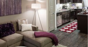 Trinity Groves Apartment Homes Livingroom