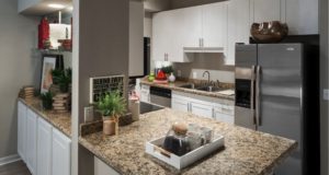 Turtle Creek Highrise Stainless Steel Kitchen