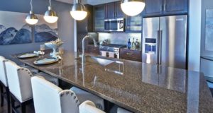 Uptown Dallas Luxury Highrise Granite Kitchen